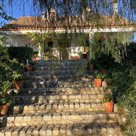 Casa Rural "El Carrasca" El Carrascalejo Exterior photo