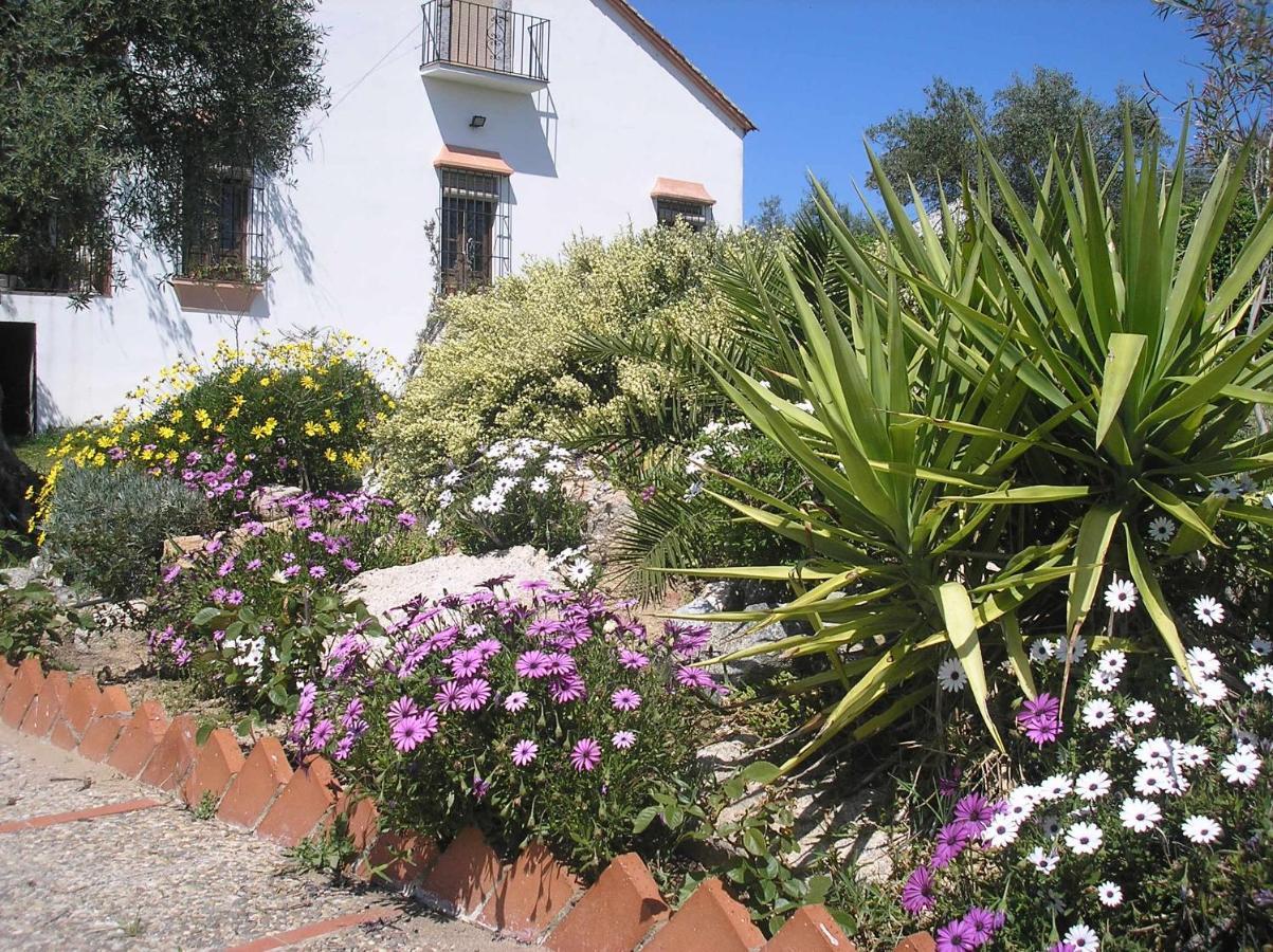 Casa Rural "El Carrasca" El Carrascalejo Exterior photo